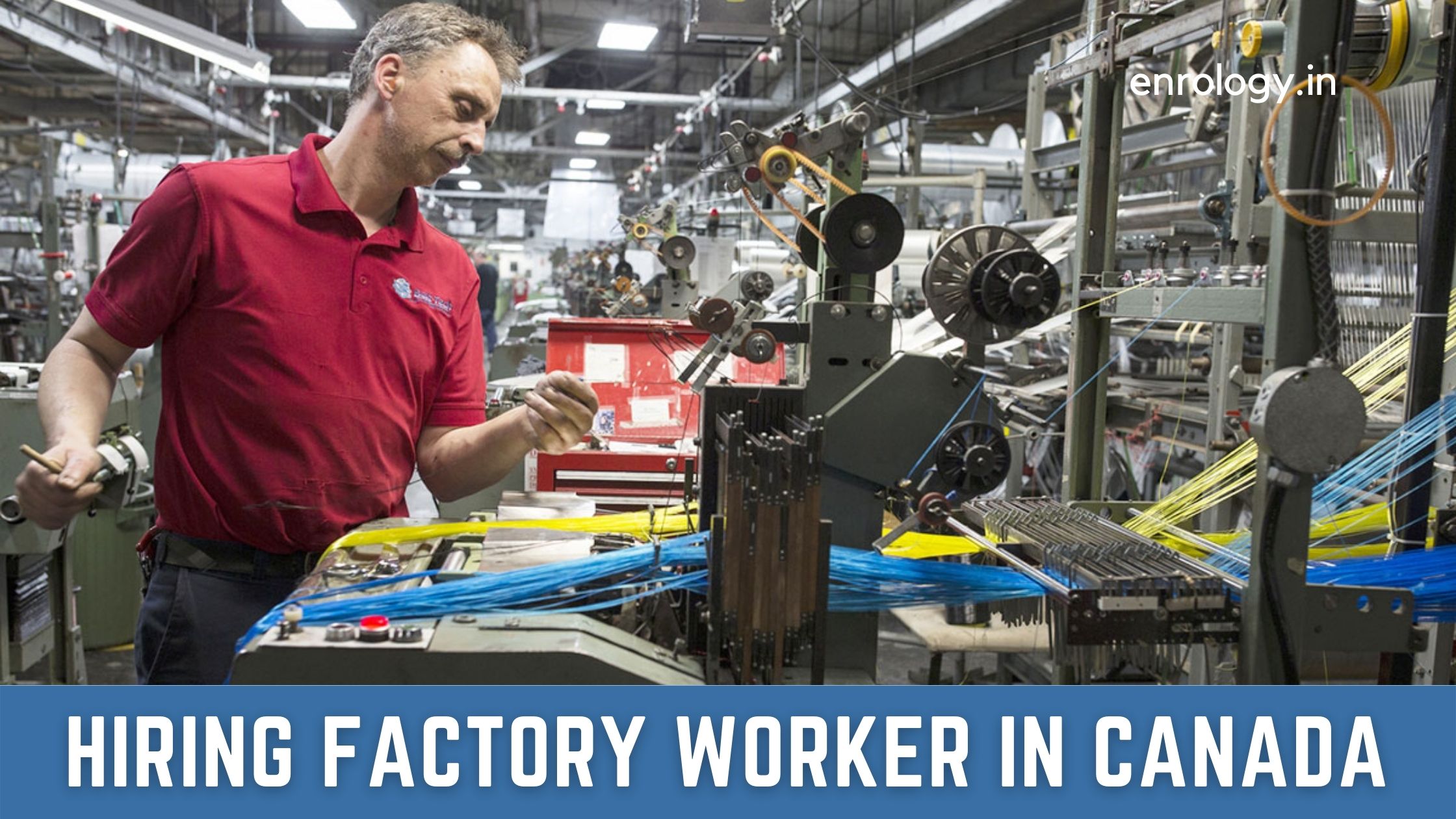 Job Openings for Staff in a Biscuit Factory in Canada