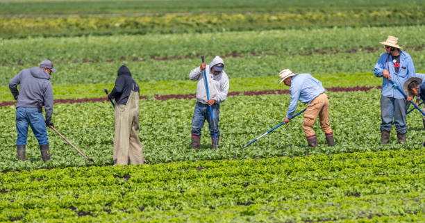 Immigrating to Canada as a farm worker