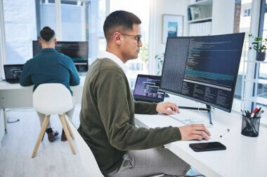 Software Developer New Zealand Salary: How to Earn $120,000 and Get a Work Visa Sponsorship