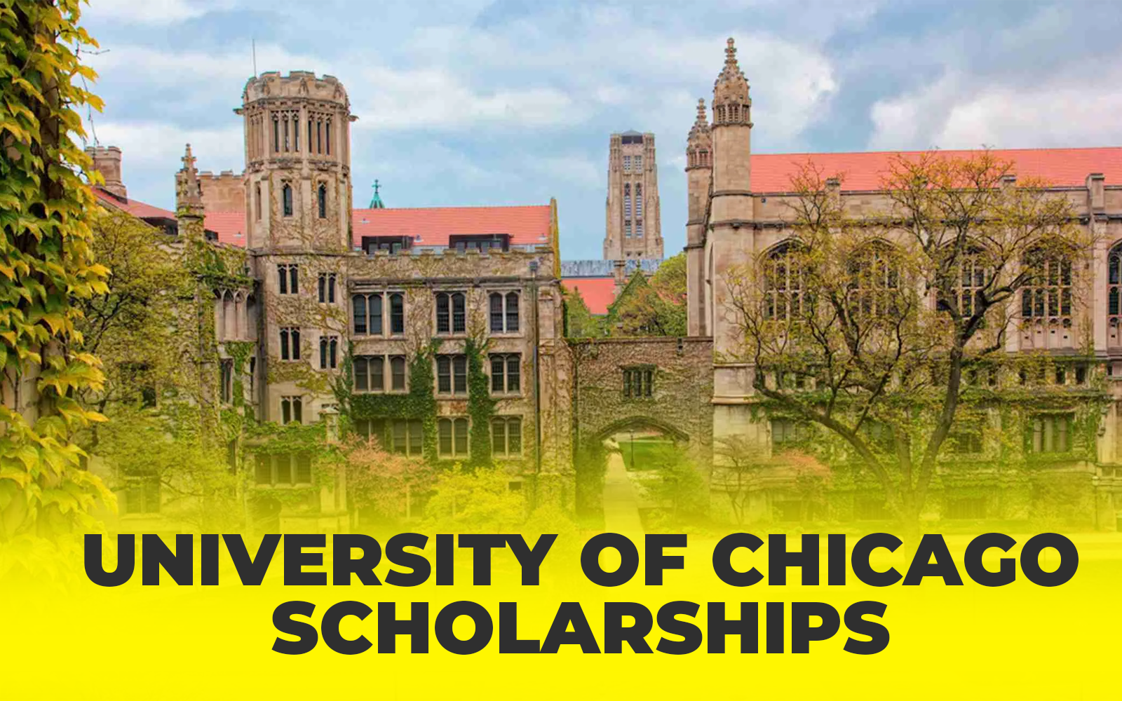 University of Chicago Scholarships for International Students